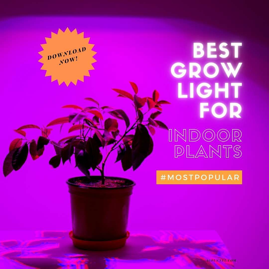 How To Choose The Best Fluorescent Grow Lights   EB 8 Grow Light For Indoor Plants Min 1 