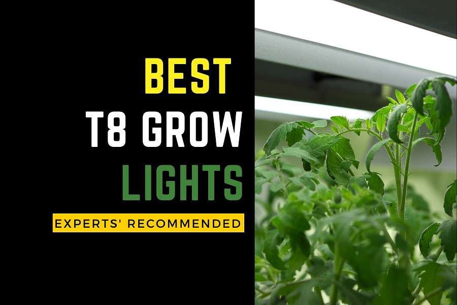 5 Best T8 Grow Lights 2023 Expert’s