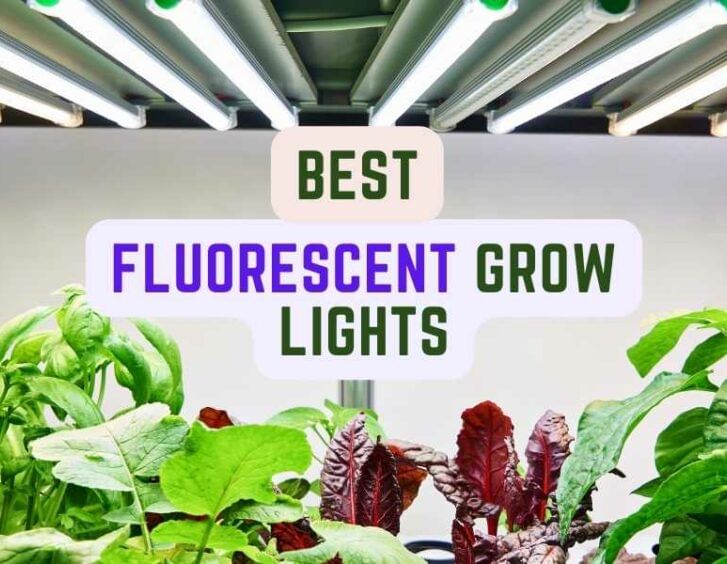 Choosing the Best Fluorescent Grow Lights Complete Guide
