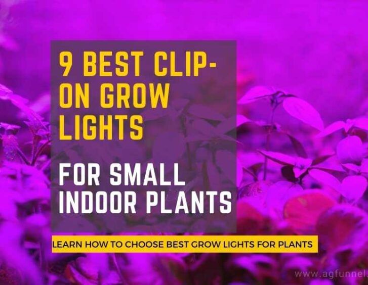 Best Clipon Grow Lights for Indoor Plants Top 9 Picks